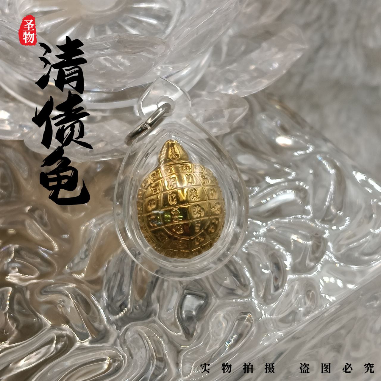  招财富贵清债龟(现物实拍） | Jin Thai Fo Pai