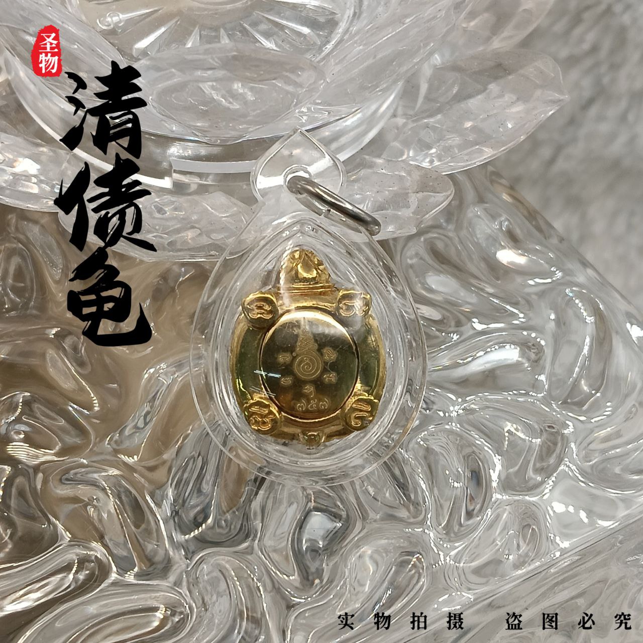  招财富贵清债龟(现物实拍） | Jin Thai Fo Pai