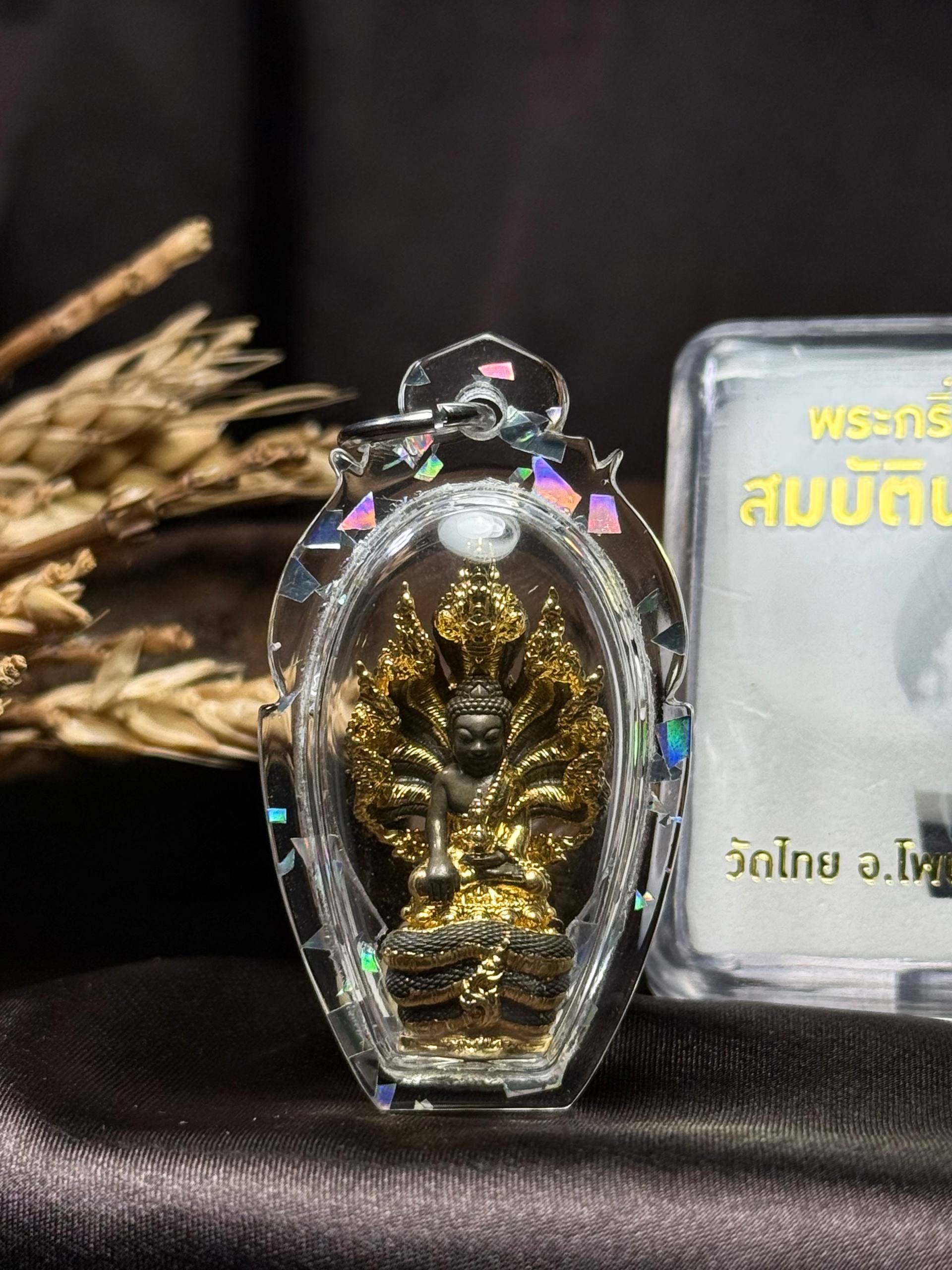 Jin Thai Fo Pai - Wat Thai 大法会众高僧加持  B.E.2566 Phra Kring Nak Prok（七龙药师佛）一套  